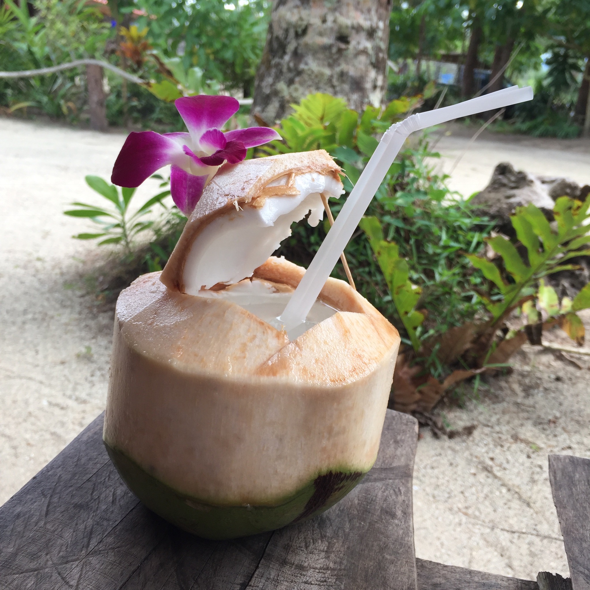 Dricker flera kokosnötter om dagen här. Verkligen godaste som finns. Tror jag kommer sakna detta brutalt mycket när jag kommer hem